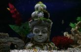 decorative Buddha head
